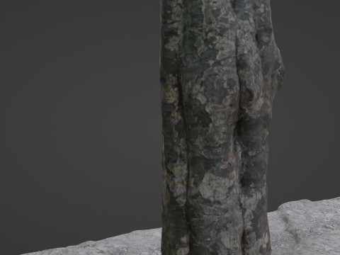 Tree 3D Модель