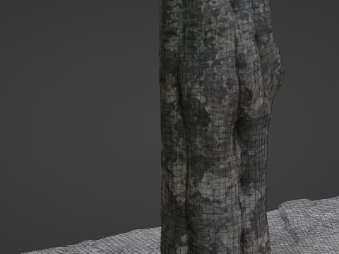 Tree 3D Модель