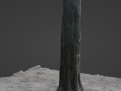 Tree 3D Модель
