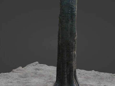 Tree 3D Model