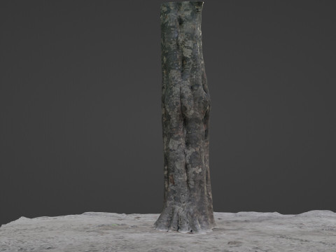 Tree 3D Модель