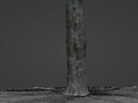 Tree 3D Model