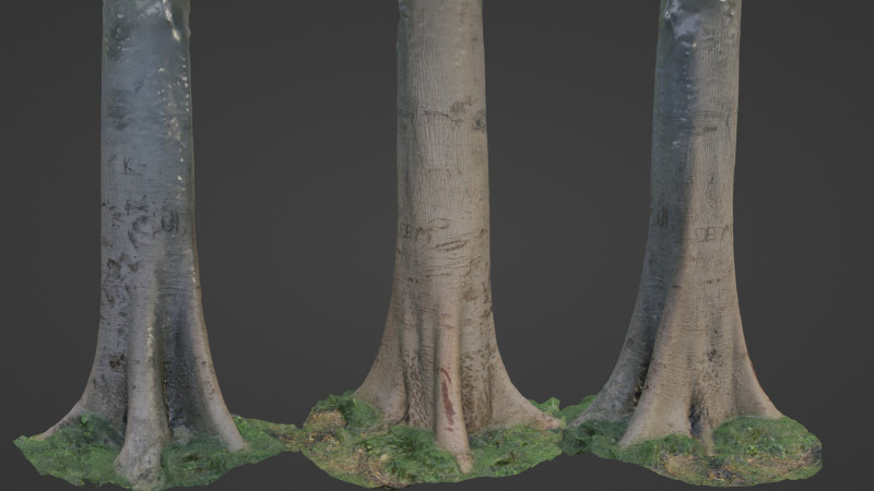 Tree Tall Modello 3D .c4d .max .obj .3ds .fbx .stl .blend 