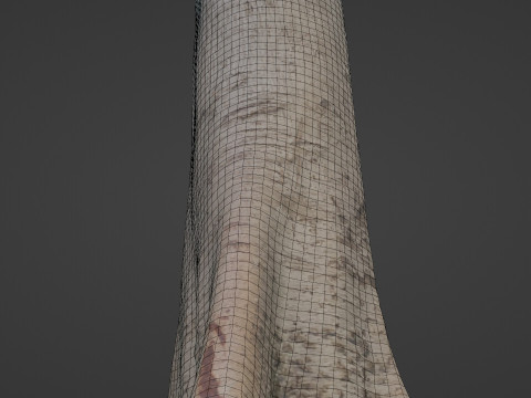 Tree Tall Modello 3D