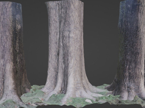 Tree Model 3D