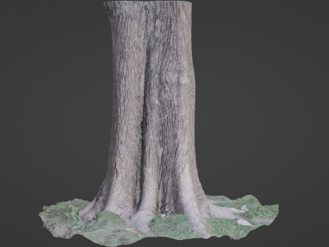 Tree Modelo 3D