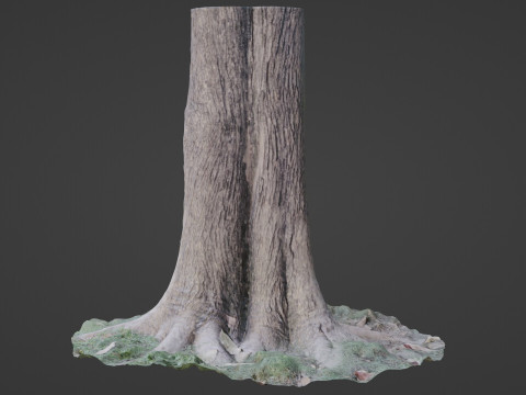 Tree Modelo 3D
