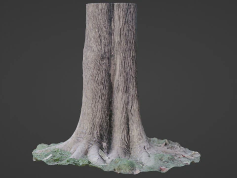 Tree 3D Model