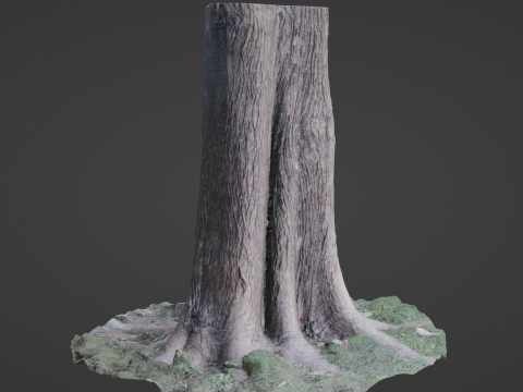 Tree Modelo 3D
