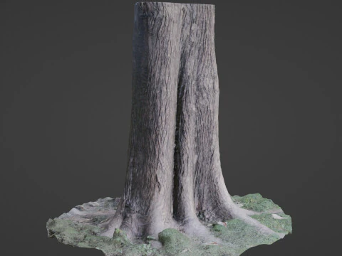 Tree 3D Model