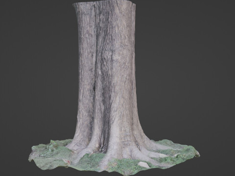 Tree Modelo 3D