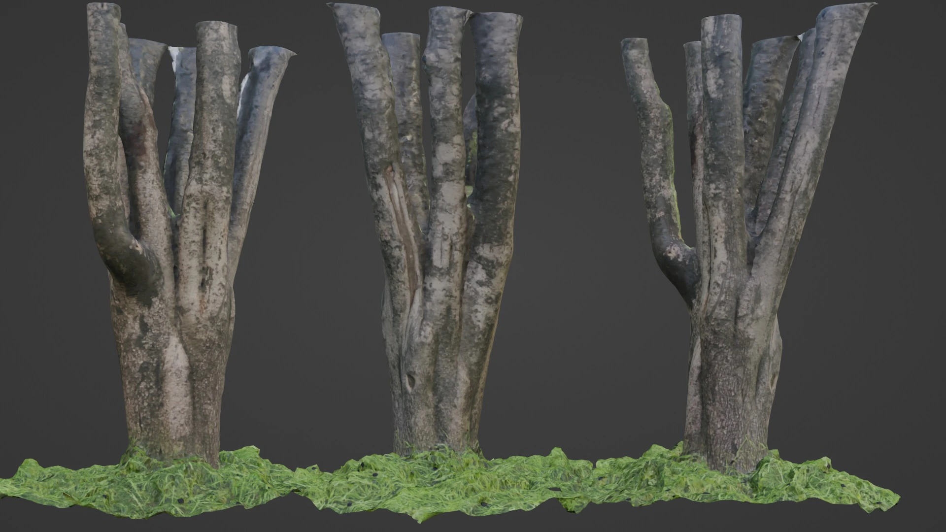 Tree 3D Model .c4d .max .obj .3ds .fbx .stl .blend 