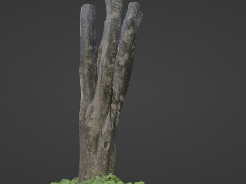 Tree 3Dモデル