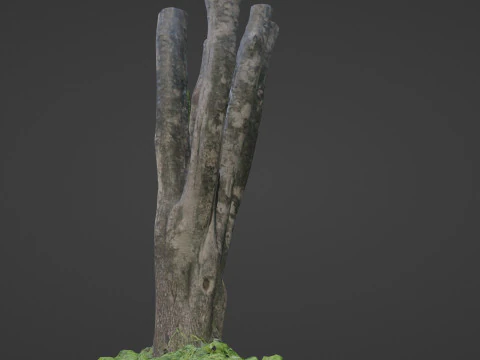 Tree 3D Model