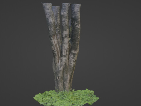 Tree 3Dモデル