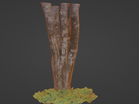 Tree 3Dモデル