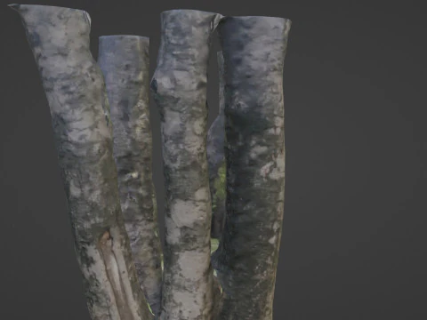 Tree 3D Model