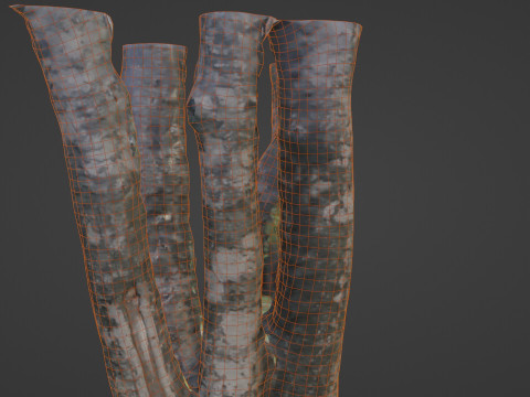 Tree 3Dモデル