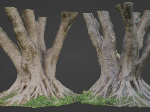 Stylizowane drzewo Model 3D