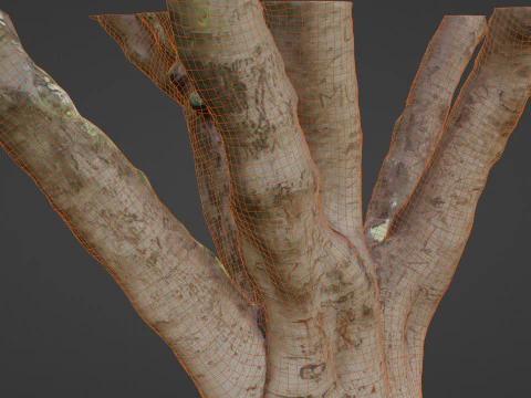 Stylized tree 3D Model