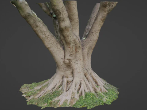 Stylized tree 3D Model
