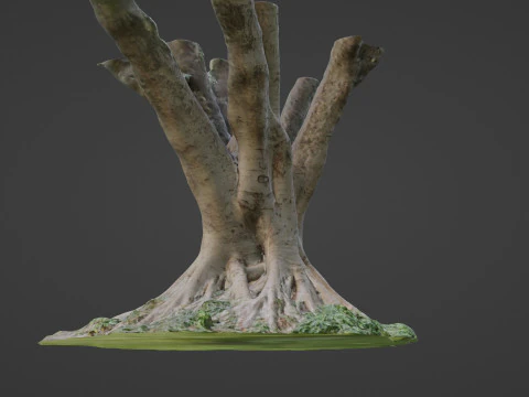 Stylized tree 3D Model
