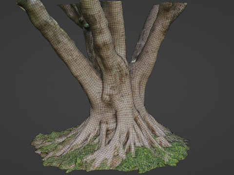 Stylized tree 3D 模型