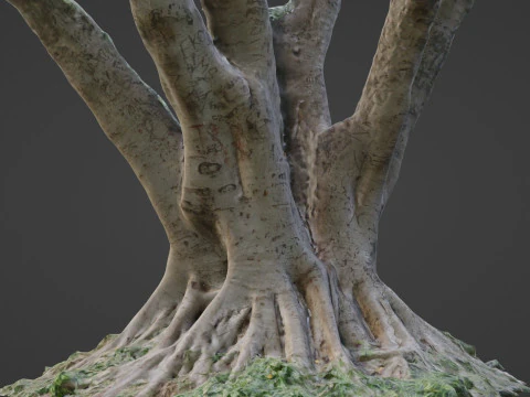 Stylized tree 3D Model