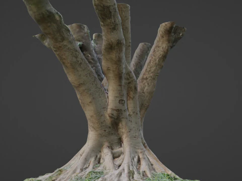 Stylized tree 3D Model
