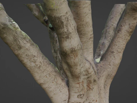 Stylized tree 3D Model