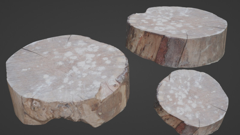 Meat wood 3D Model .c4d .max .obj .3ds .fbx .stl .blend
