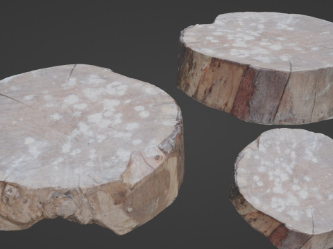 Meat wood Modèle 3D