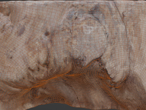 Meat wood 3D Model