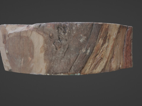 Meat wood 3D Model