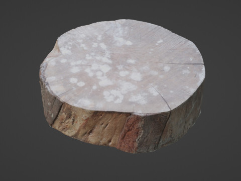 Meat wood 3D Model