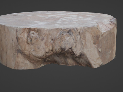 Meat wood 3D Model
