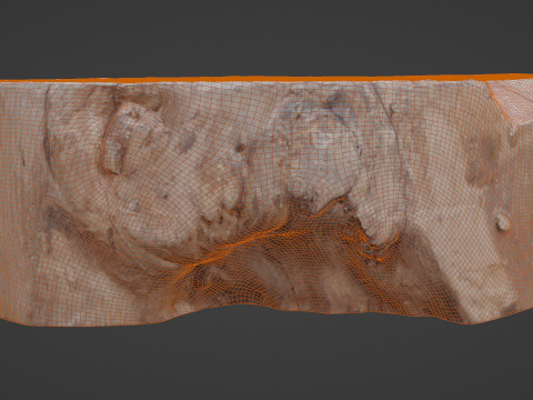 Meat wood 3D Model