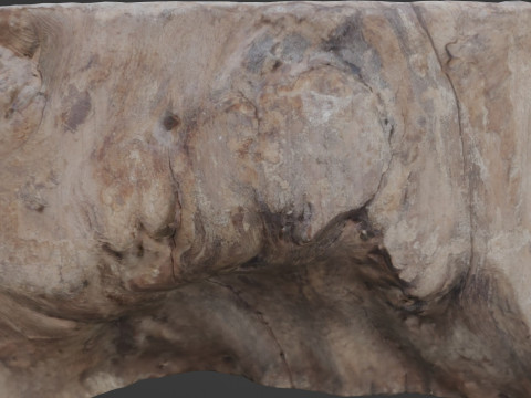 Meat wood 3D Model