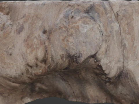 Meat wood 3D Model