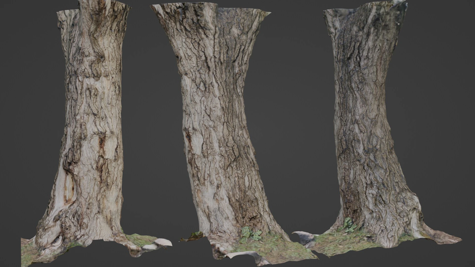 Tree 3D Model .c4d .max .obj .3ds .fbx .stl .blend 