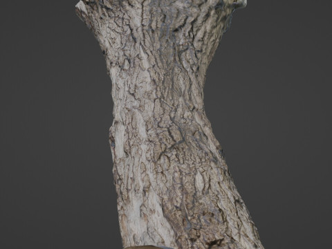 Tree 3D 모델