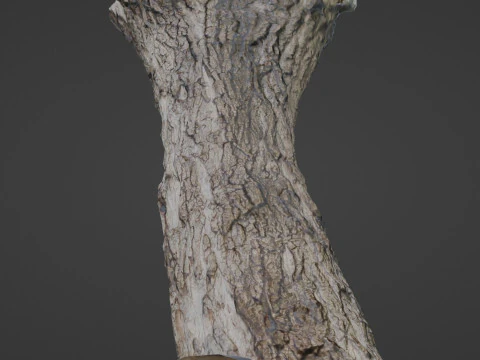 Tree 3D Model