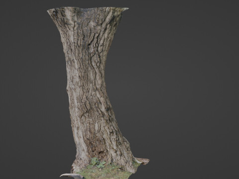 Tree 3D 모델