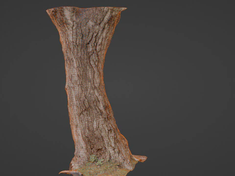 Tree 3D Model