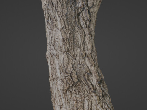 Tree 3D 모델