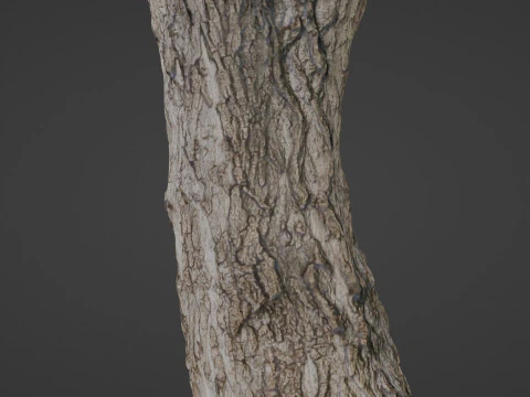Tree 3D Model