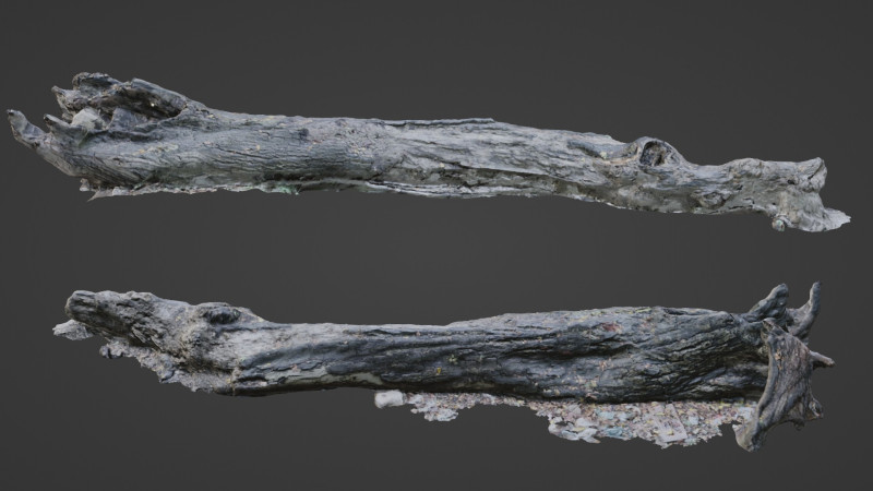 Broken Tree 3D 模型 .c4d .max .obj .3ds .fbx .stl .blend 