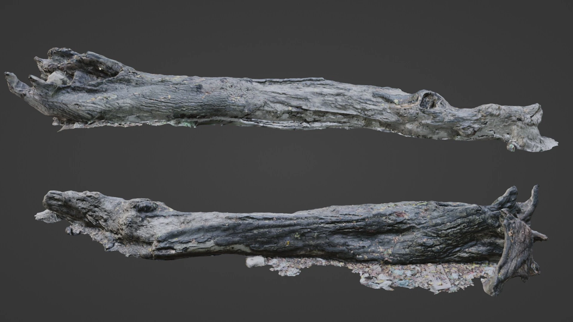 Broken Tree 3D Model .c4d .max .obj .3ds .fbx .stl .blend 
