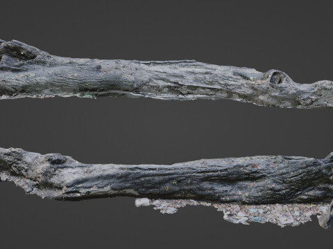 Broken Tree 3D Модель