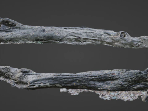 Gebroken boom 3D Model